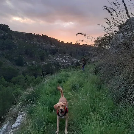 Pura Vida Barocca Penzion