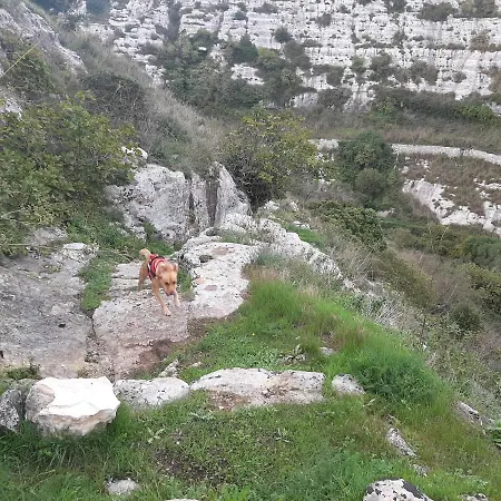 Pura Vida Barocca Ragusa