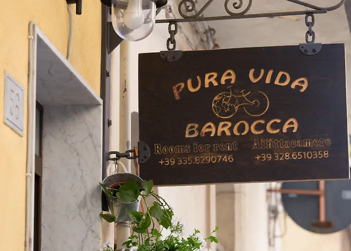 Pura Vida Barocca רגוזה